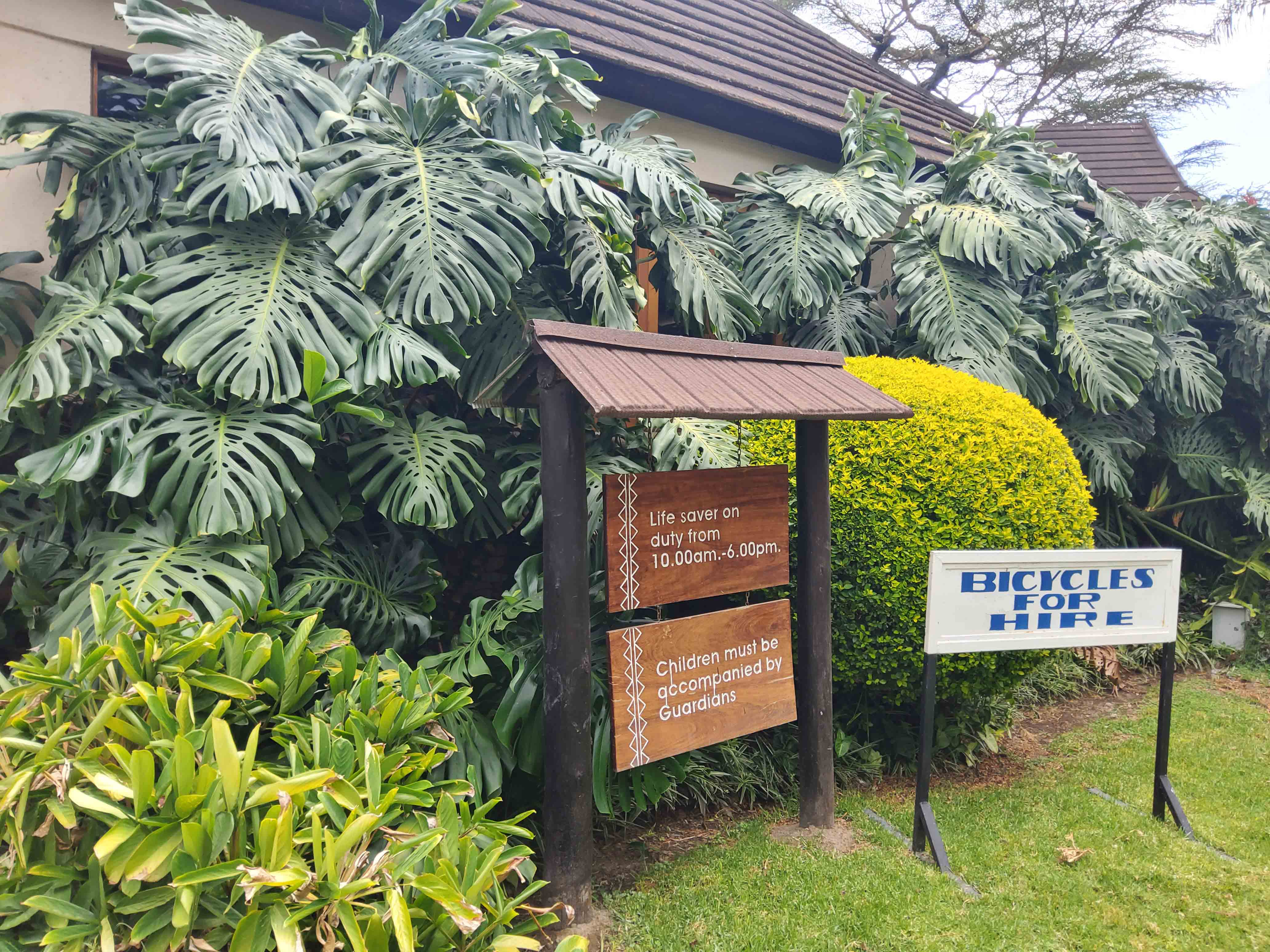 Lake Naivasha Sawela Lodges_images